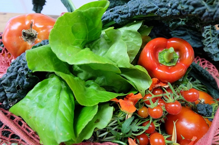 ginettedorais-food-3267619_1920
